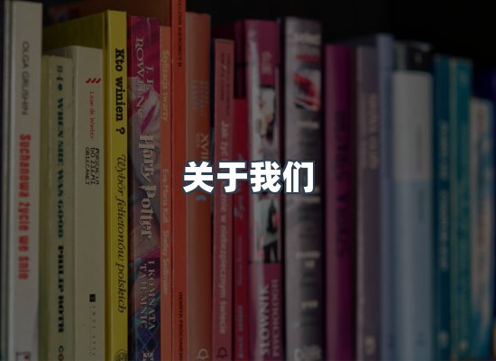 关于我们
