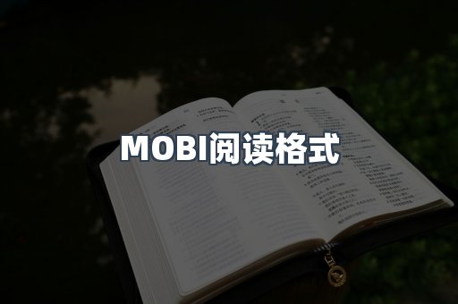 EPUB电子书